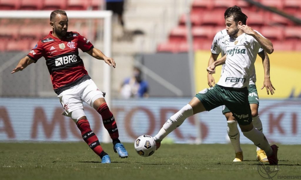 flamengo-palmeiras-clubes-ligas-