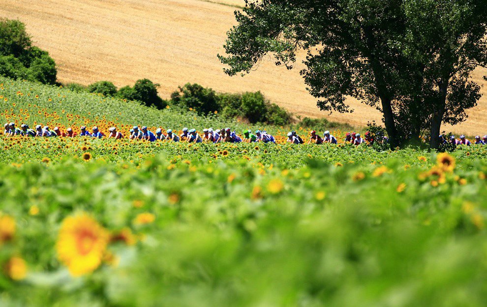 Curiosidades sobre o Tour de France e seus 114 anos de história