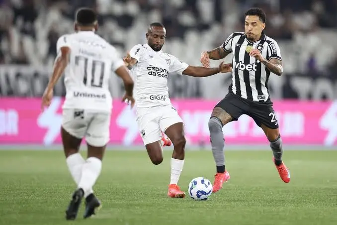 Botafogo vence o Ceará em partida agitada no Nilton Santos