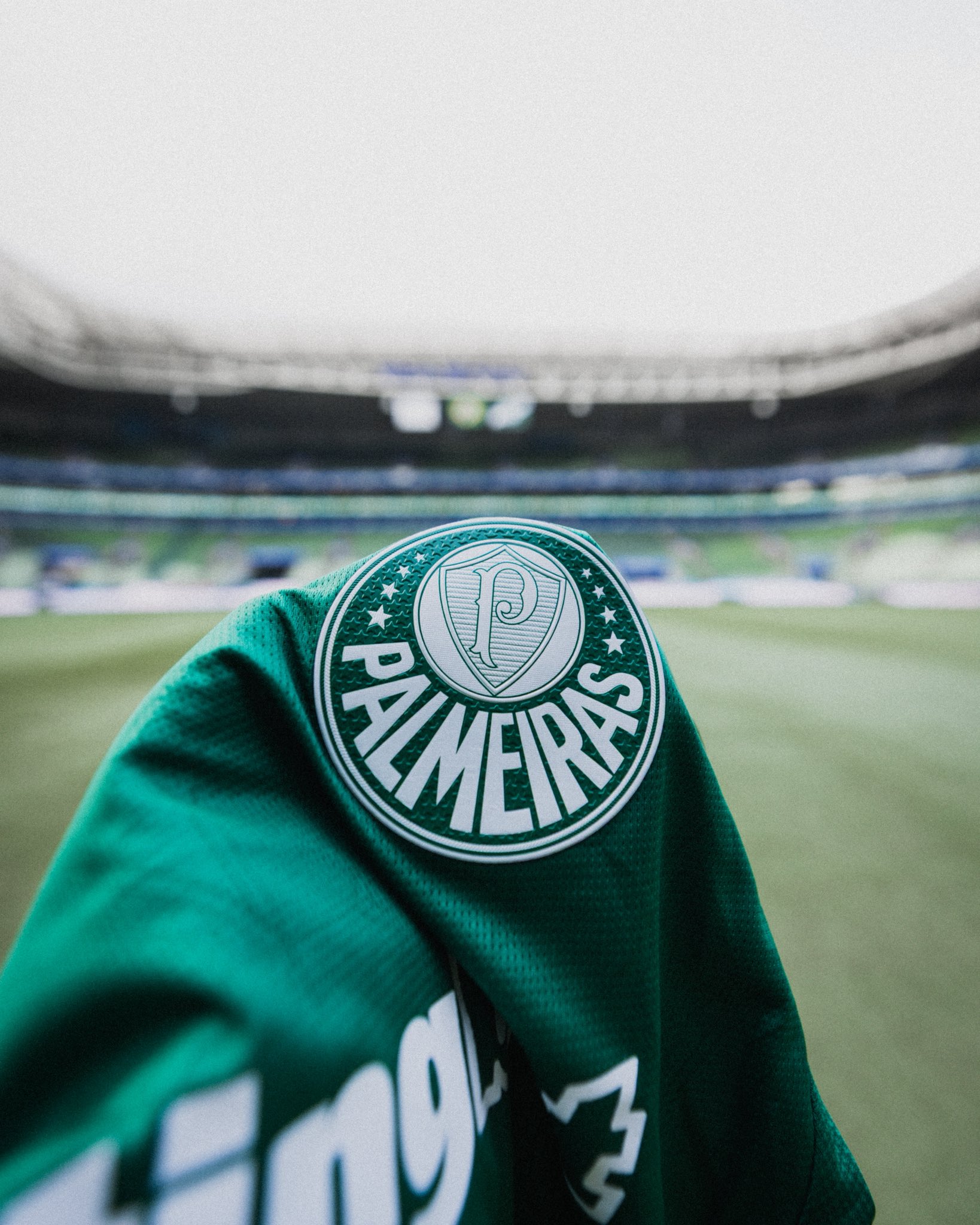 Palmeiras Enfrenta o Juventude no Allianz em Busca de Vantagem no Brasileirão